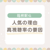 箱根駅伝人気の理由５選！視聴率が高い原因は？